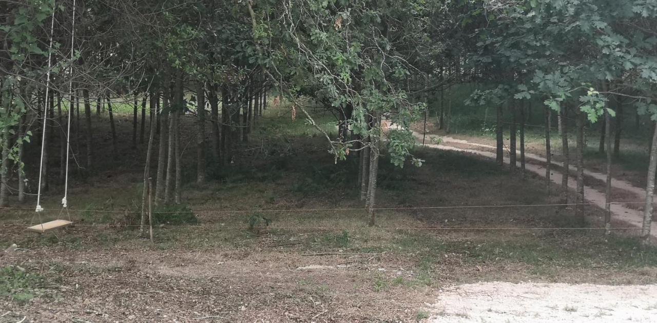 Quinta Do Soldado Villa Albergaria-a-Velha Dış mekan fotoğraf