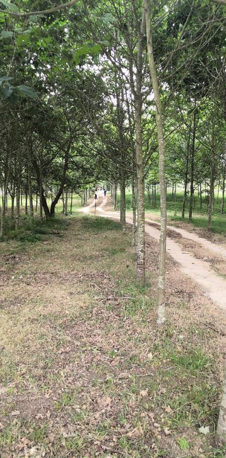 Quinta Do Soldado Villa Albergaria-a-Velha Dış mekan fotoğraf
