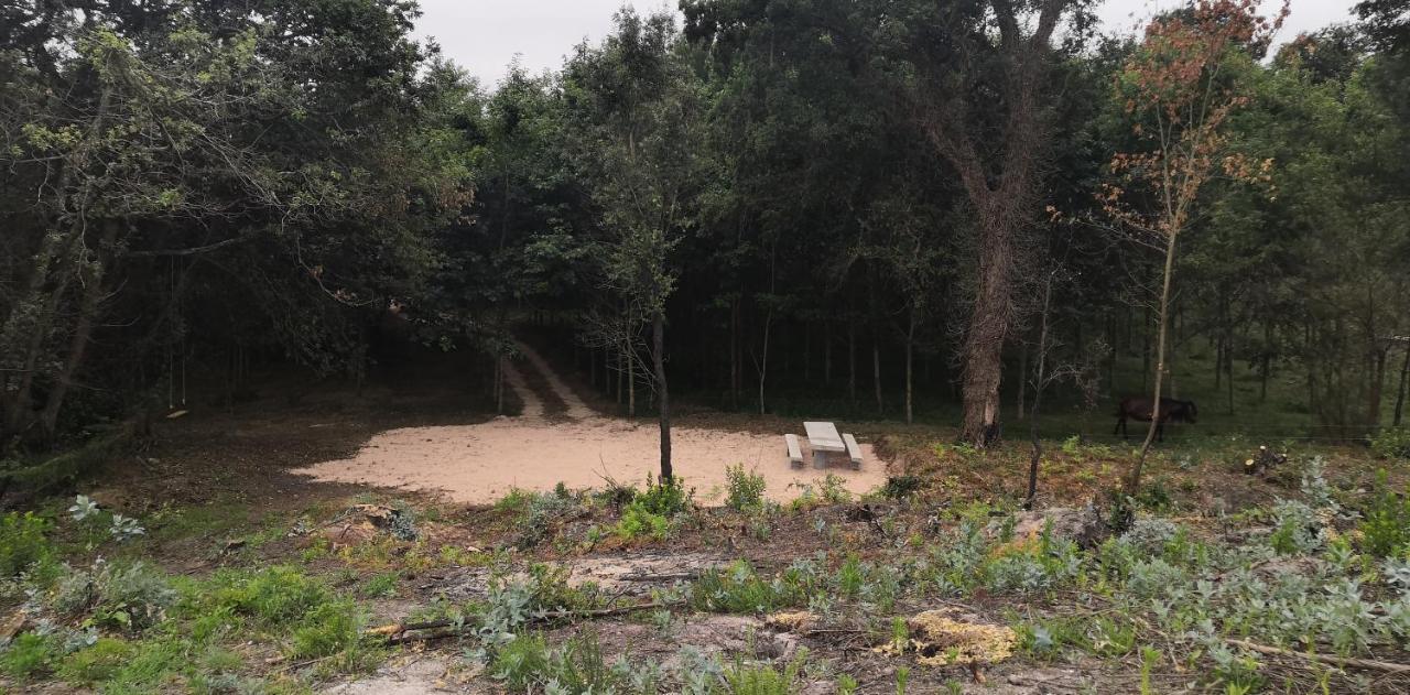 Quinta Do Soldado Villa Albergaria-a-Velha Dış mekan fotoğraf