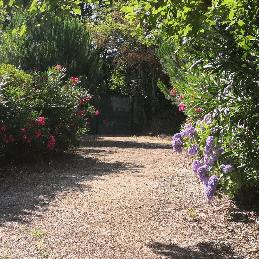 Quinta Do Soldado Villa Albergaria-a-Velha Dış mekan fotoğraf