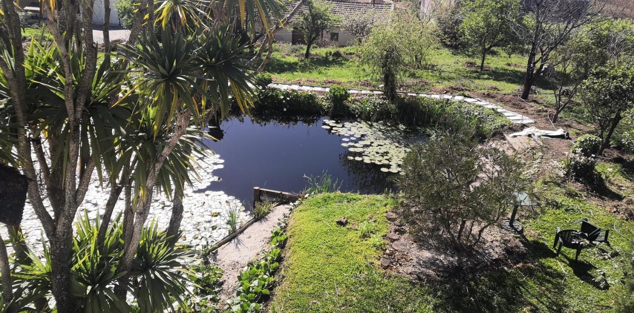 Quinta Do Soldado Villa Albergaria-a-Velha Dış mekan fotoğraf