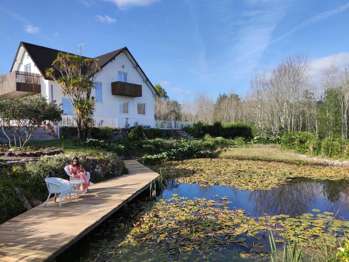 Quinta Do Soldado Villa Albergaria-a-Velha Dış mekan fotoğraf