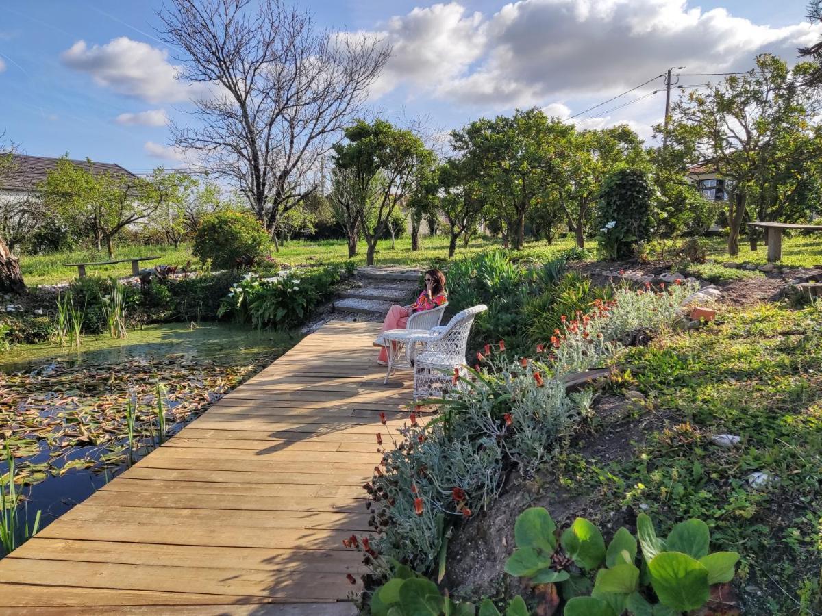 Quinta Do Soldado Villa Albergaria-a-Velha Dış mekan fotoğraf