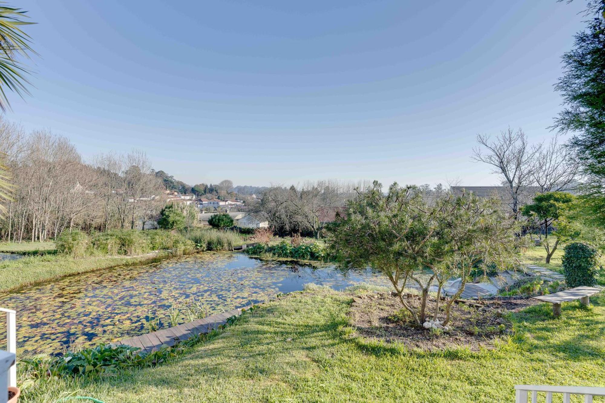 Quinta Do Soldado Villa Albergaria-a-Velha Dış mekan fotoğraf